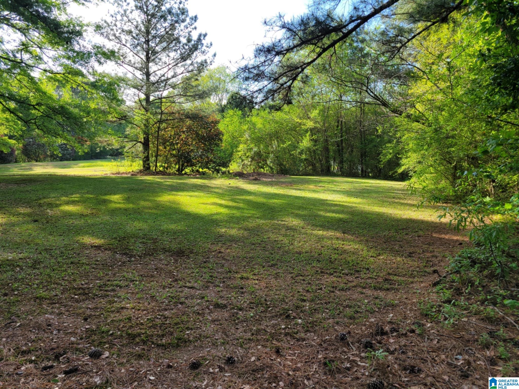 135 Hayden Springs Road Hayden, AL 35079 - Photo 4 of 37