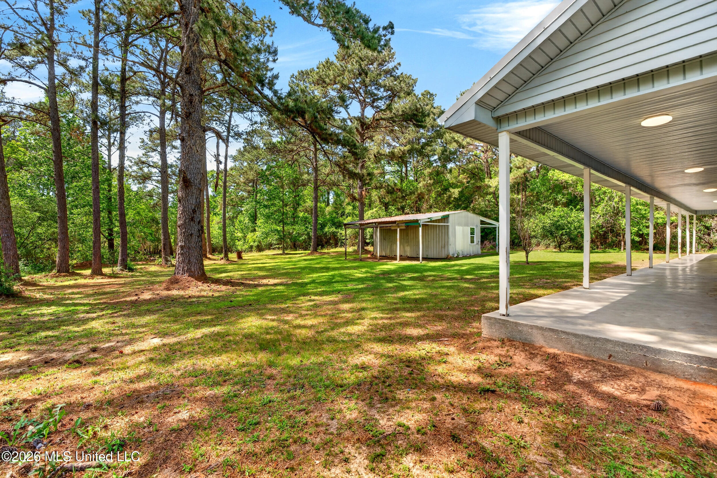 43 Alan Road Carriere, MS 39426 - Photo 36 of 51 45_backyard1