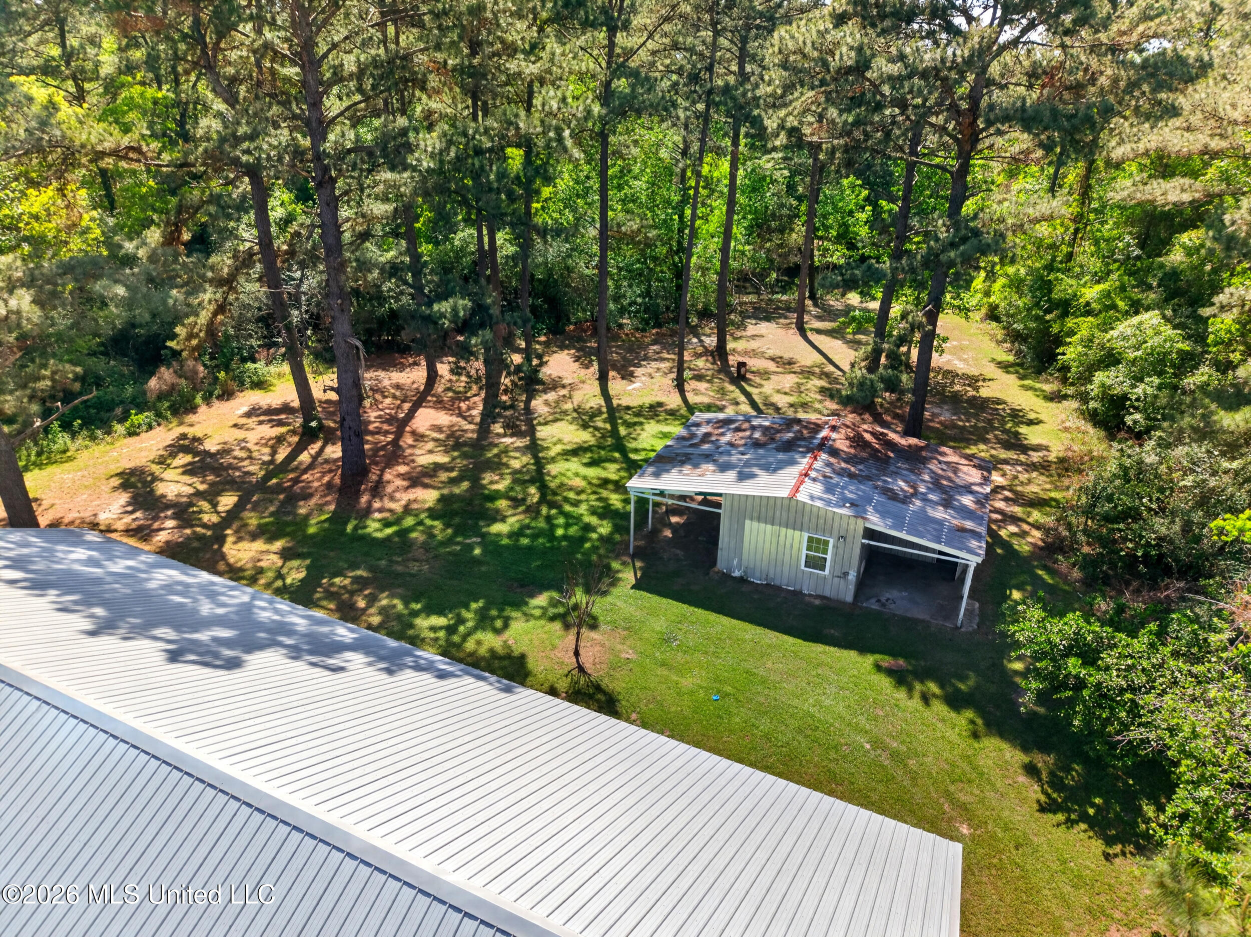 43 Alan Road Carriere, MS 39426 - Photo 37 of 51 46_backyard2