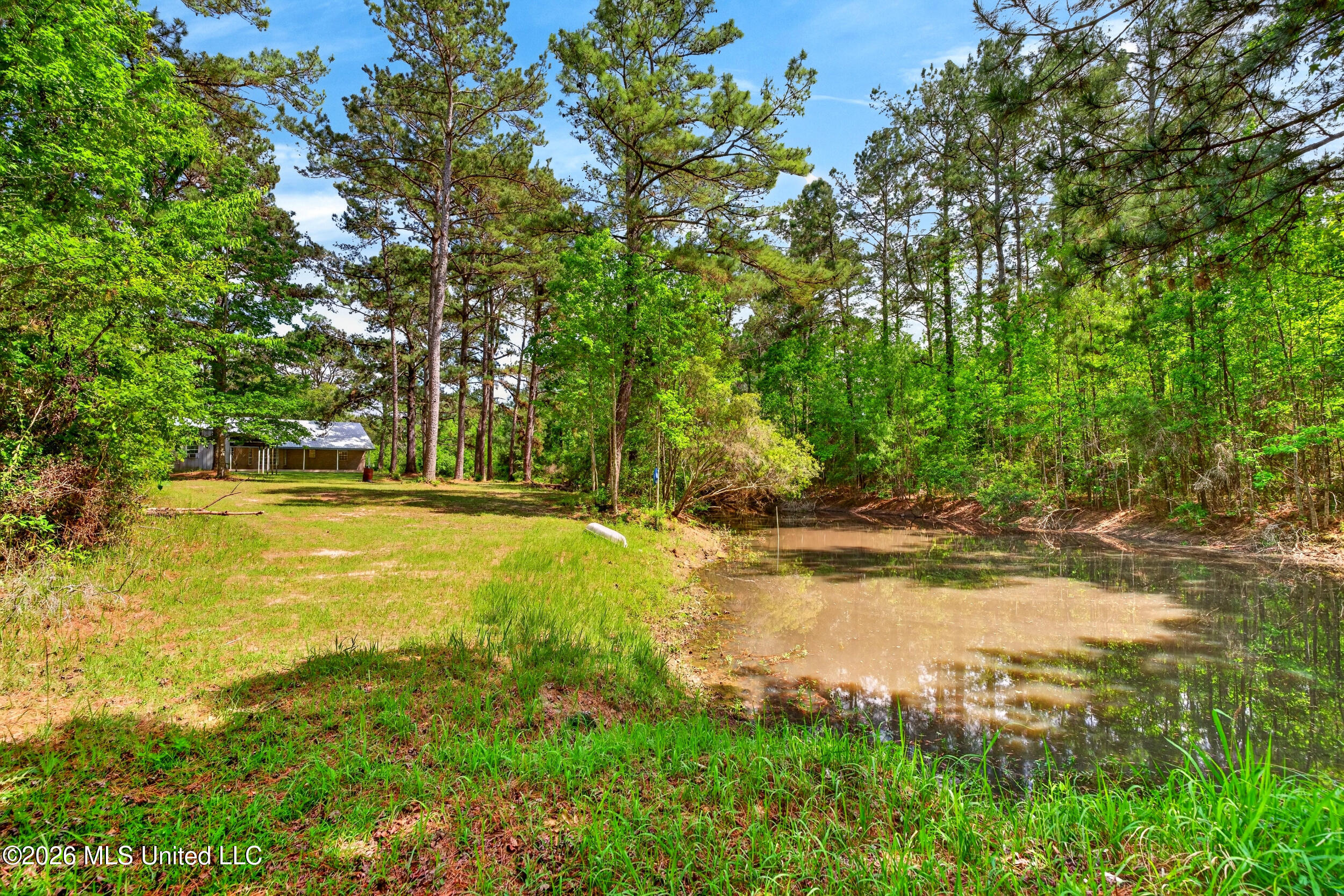 43 Alan Road Carriere, MS 39426 - Photo 45 of 51 54_pond1