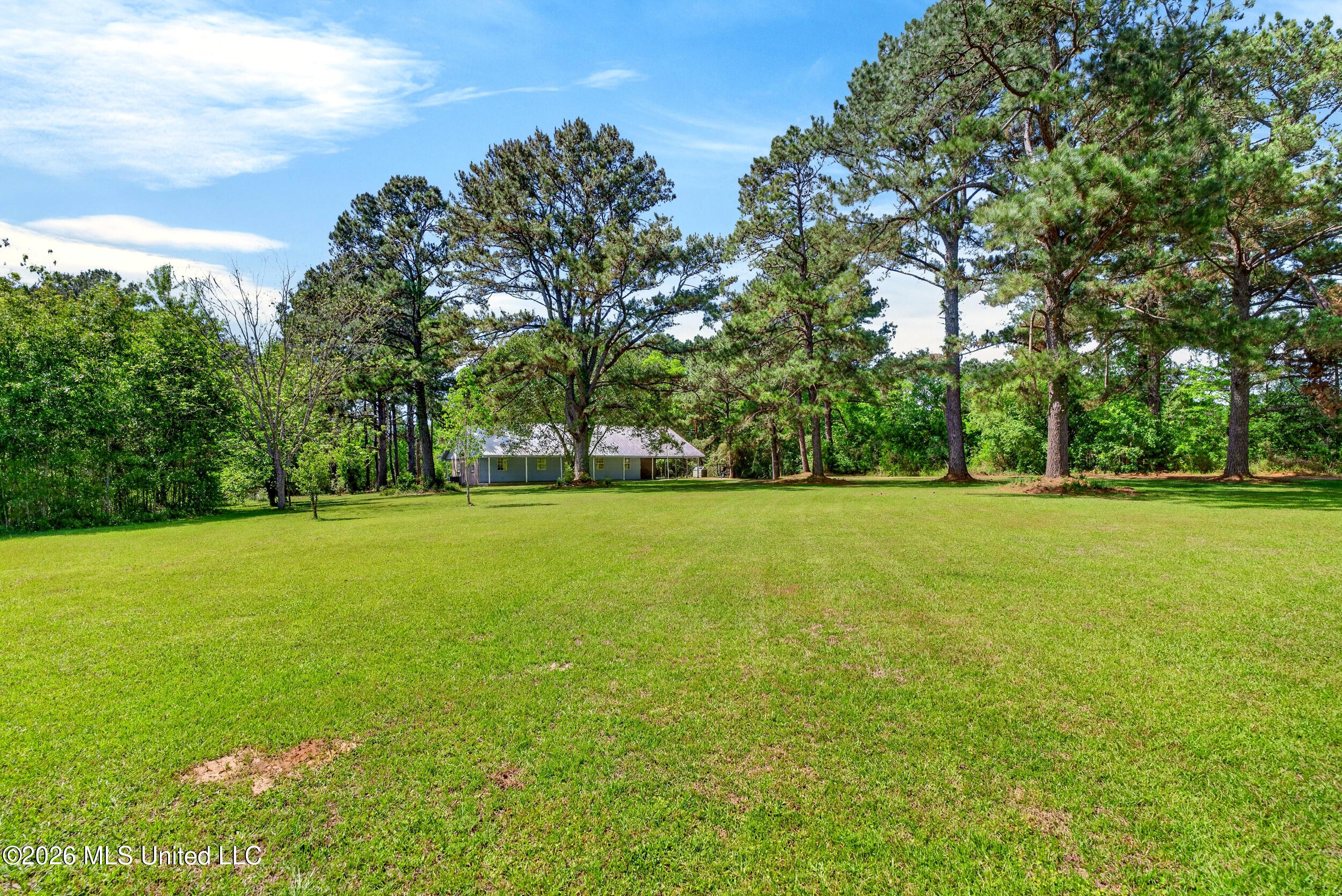 43 Alan Road Carriere, MS 39426 - Photo 47 of 51 56_frontyard