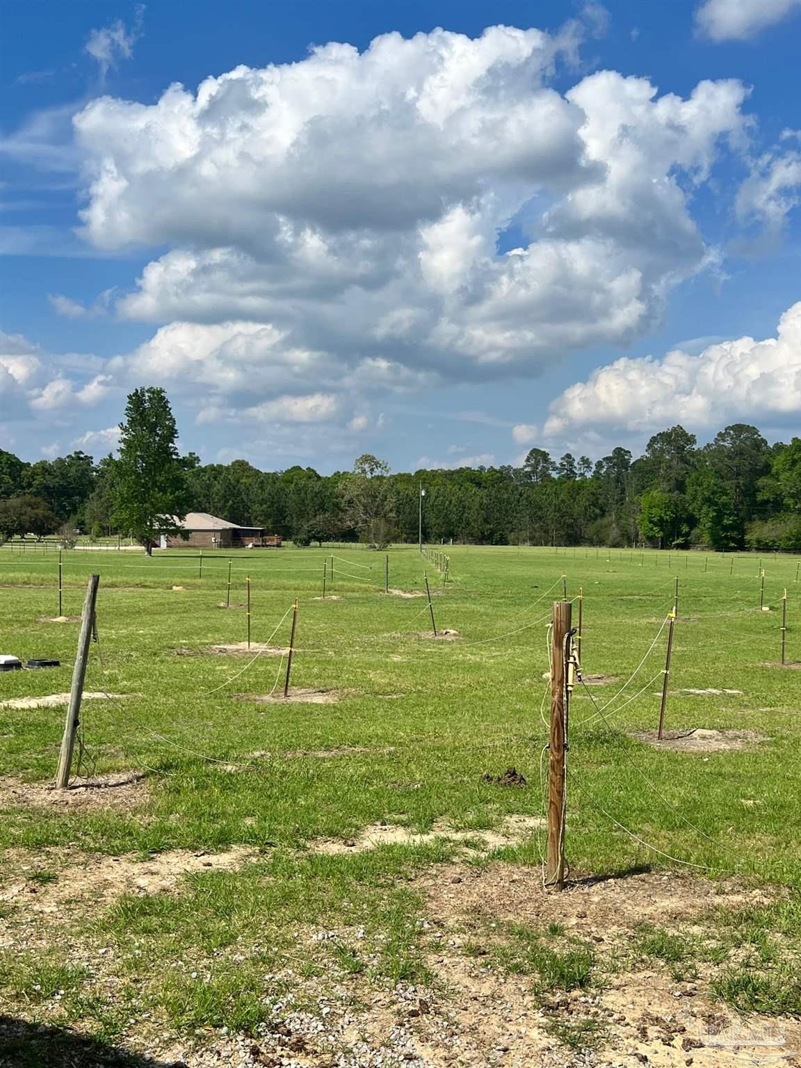 2442 Lawrence Cooley Road Milton, FL 32570 - Photo 39 of 48