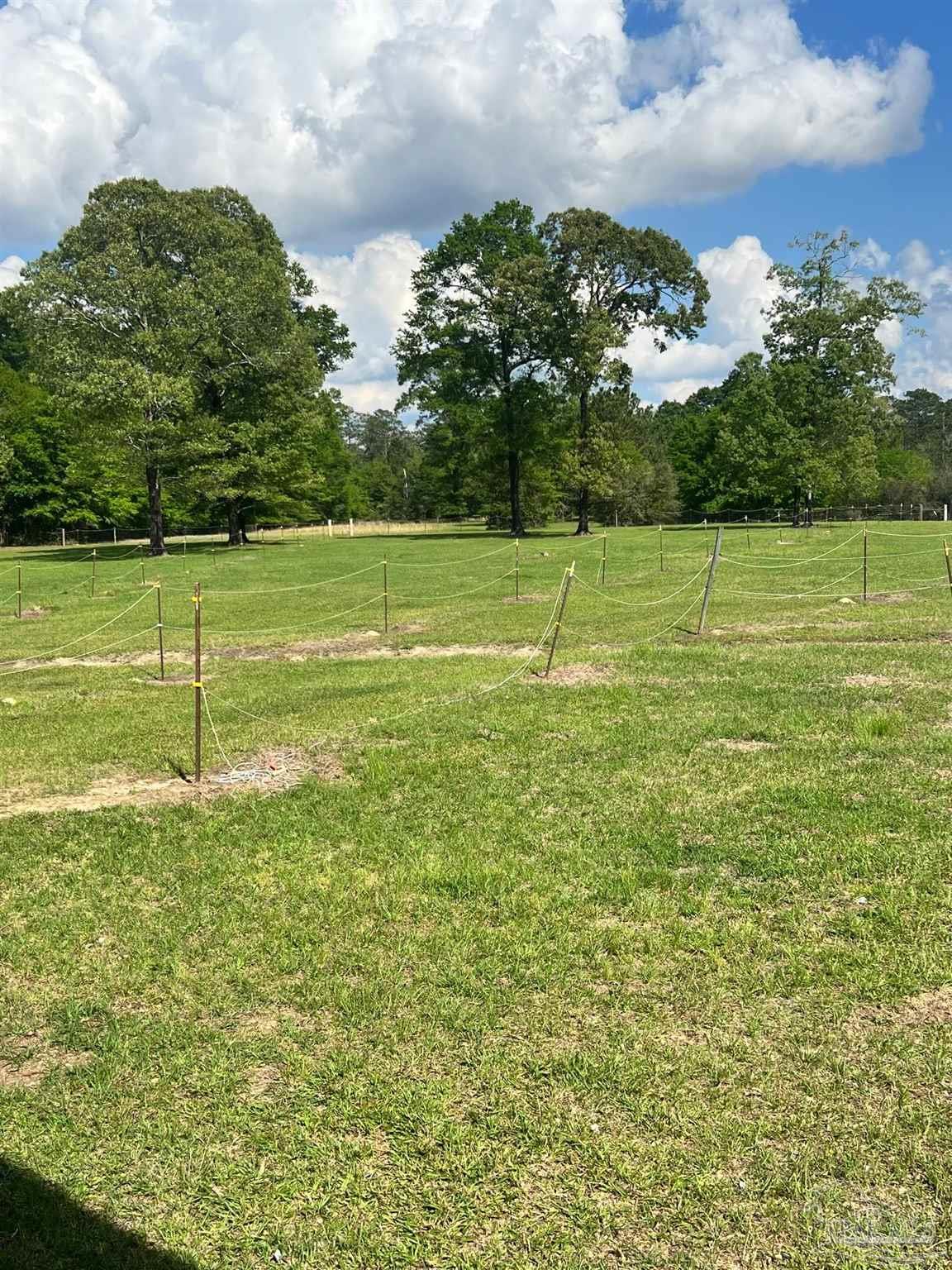 2442 Lawrence Cooley Road Milton, FL 32570 - Photo 40 of 48