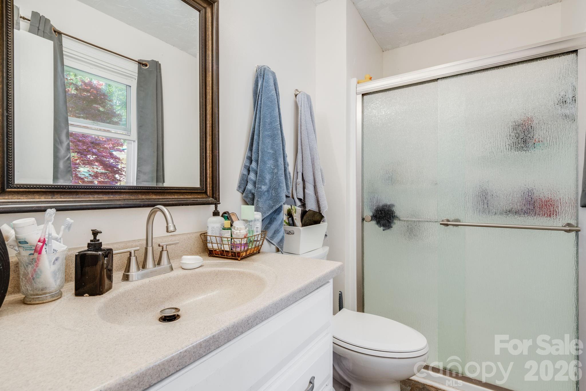 99 South Rowe Road Hendersonville, NC 28792 - Photo 25 of 40 a bathroom with a sink a toilet and a mirror