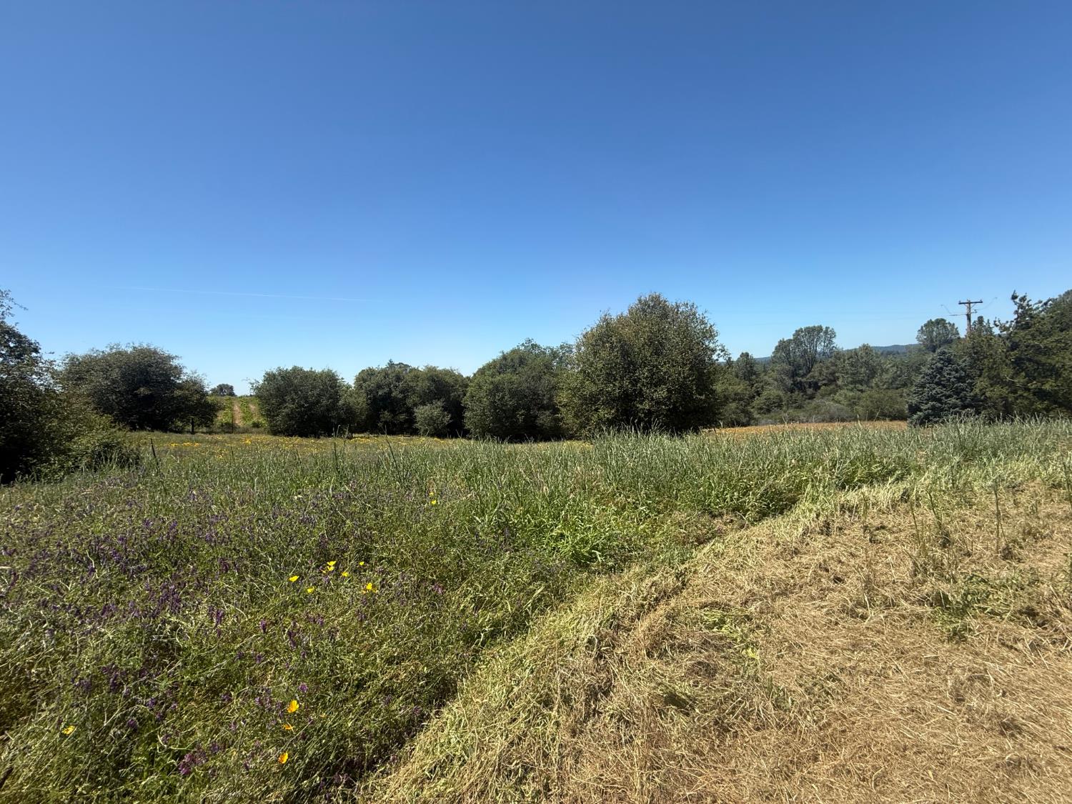 2322 Myrick Road Somerset, CA 95684 - Photo 14 of 30 a view of lake with green space