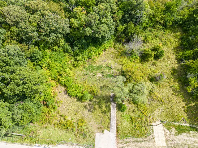 a view of a big yard with plants and large trees