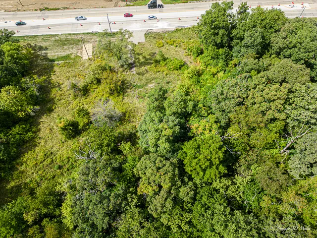 a view of a lush green field