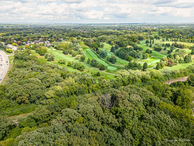 an aerial view of residential houses with outdoor space and trees