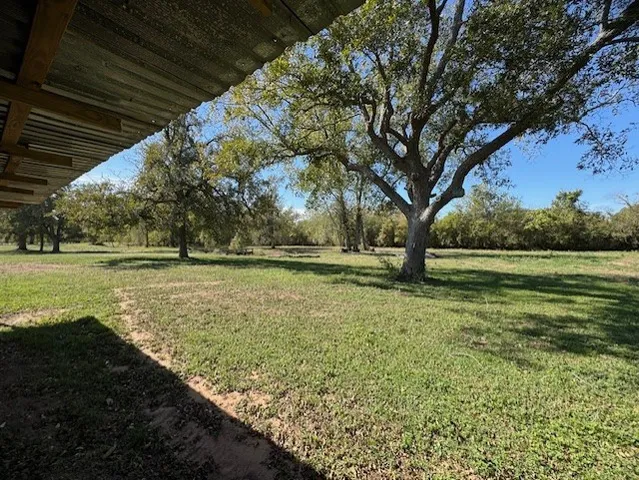 a view of outdoor space with trees all around