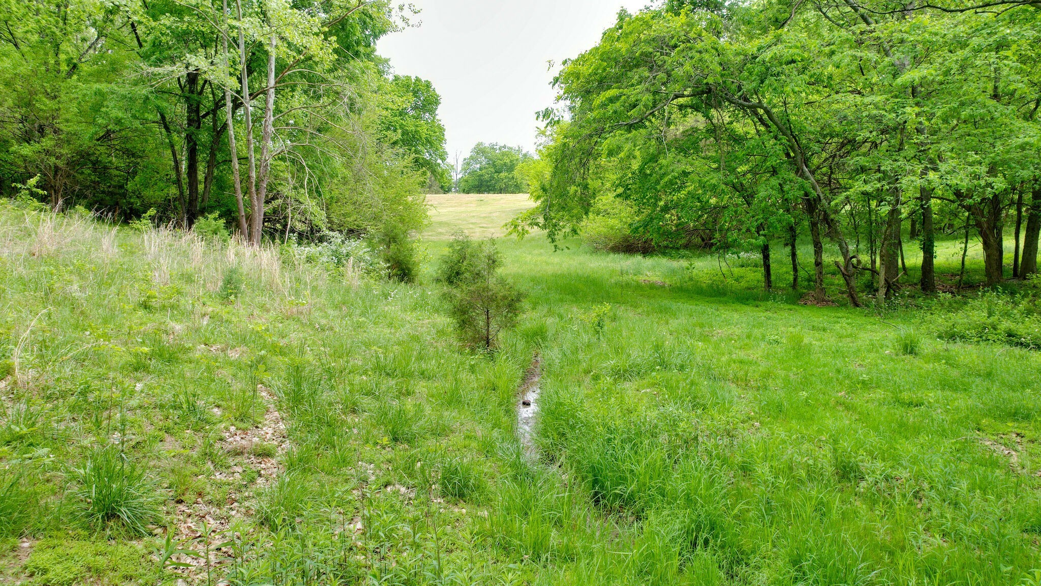 8260 Hawkins Road College Grove, TN 37046 - Photo 20 of 29 Gallery Image 20