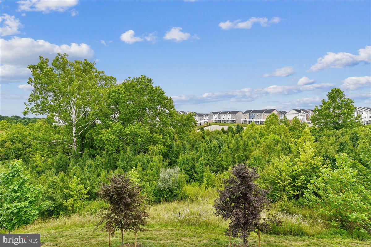 2209 Woodlands Road Windsor Mill, MD 21244 - Photo 58 of 75 GREAT SIGHT LINES