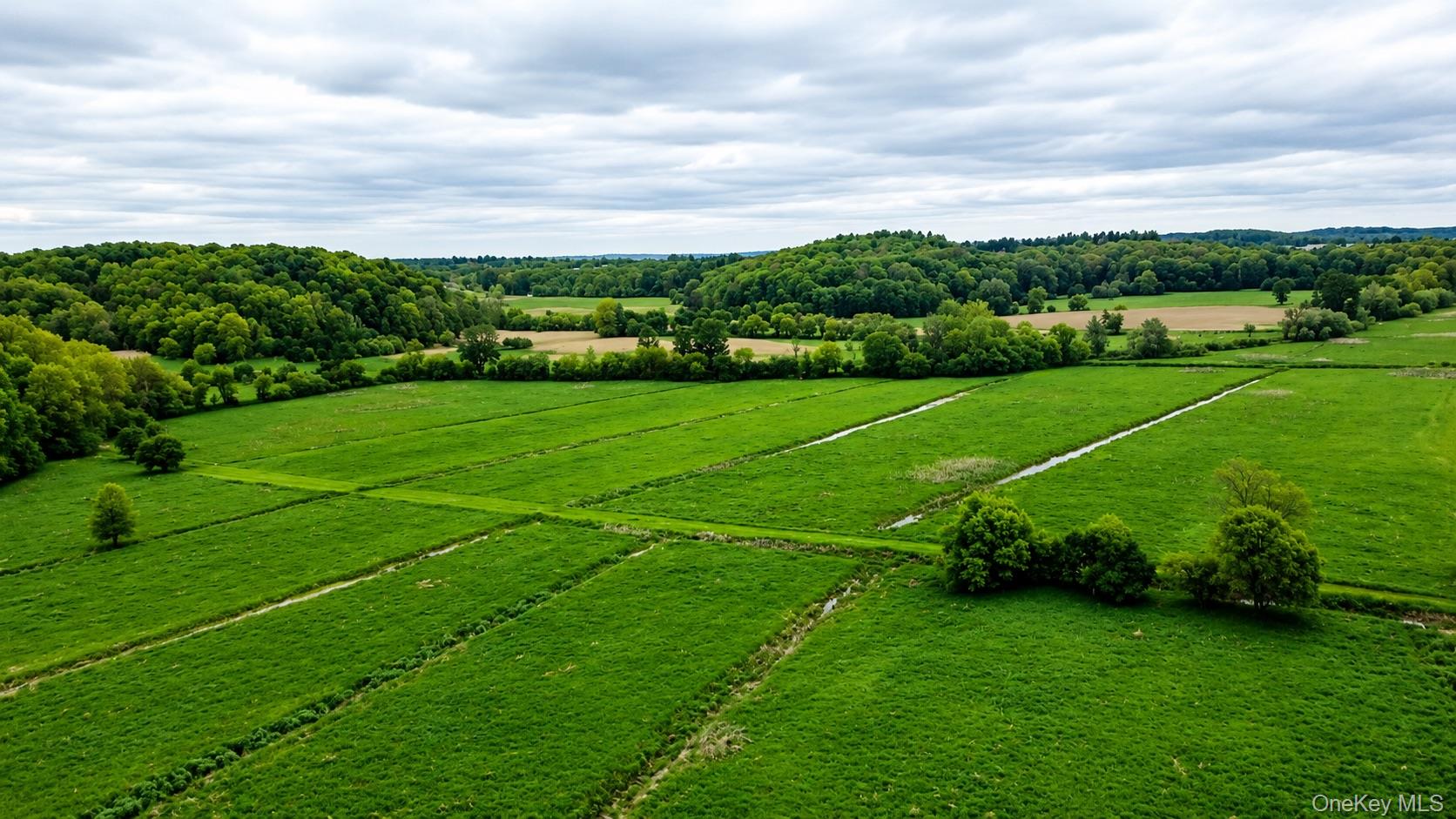492 Black Meadow Road Chester, NY 10918 - Photo 8 of 18 a view of a field of grass and basketball court