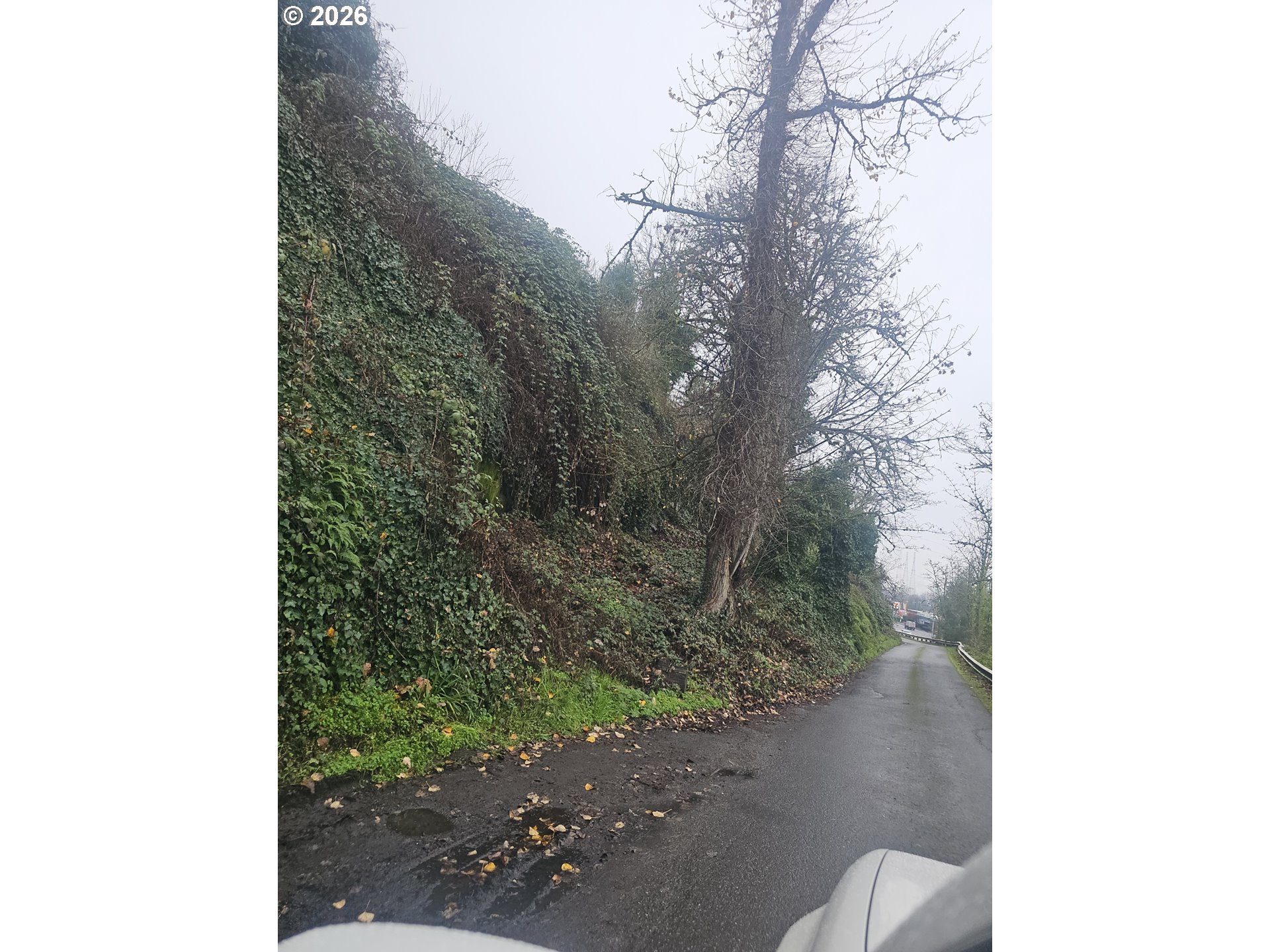 Northwest 1st Street Portland, OR 97209 - Photo 4 of 4 a view of a yard