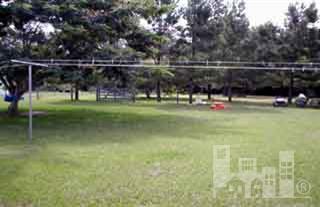 771 Newkirk Road Willard, NC 28478 - Photo 3 of 6 Additional Photo