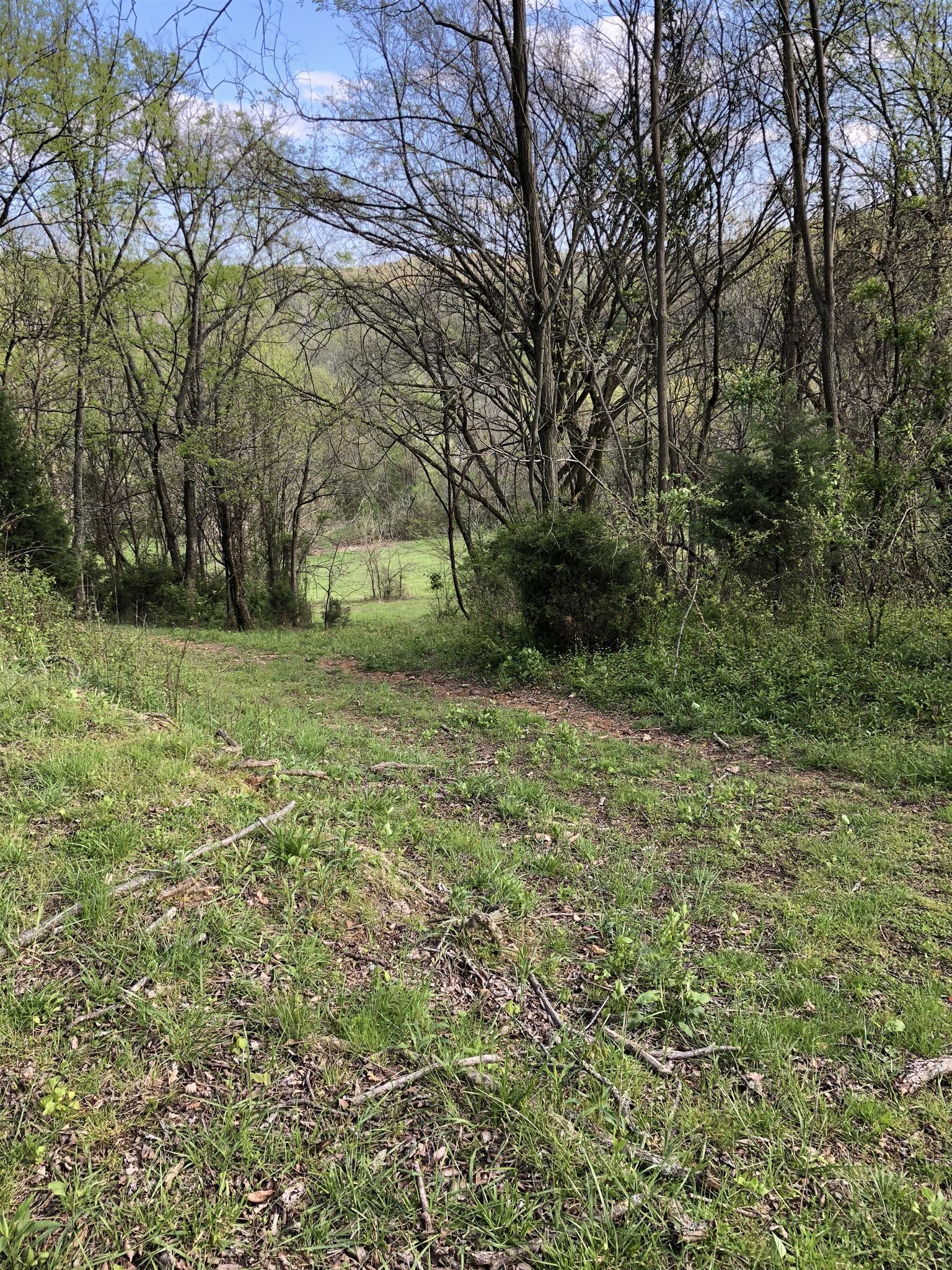 5 Mack Benderman Road Culleoka, TN 38451 - Photo 14 of 14 Gallery Image 14