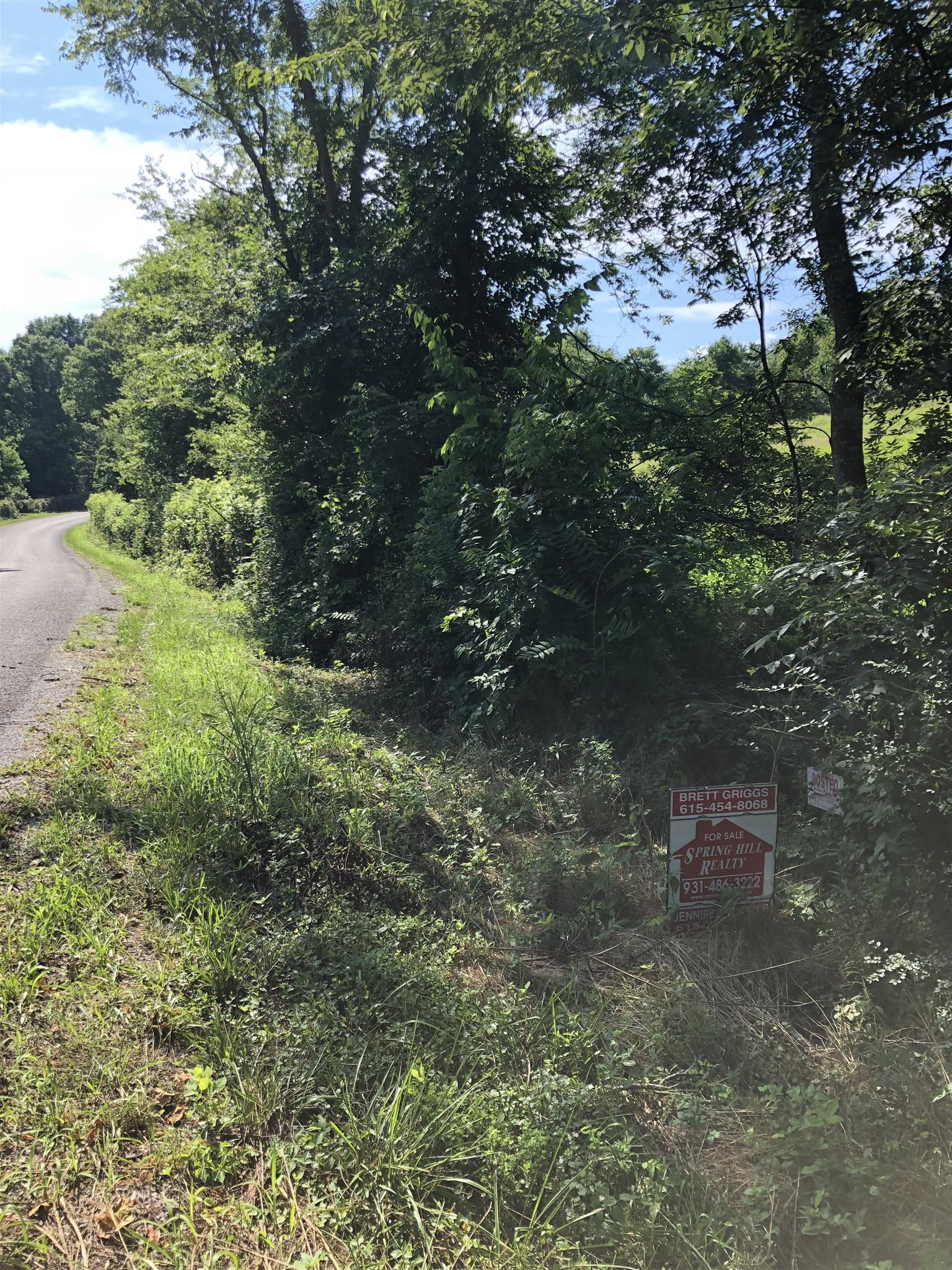 5 Mack Benderman Road Culleoka, TN 38451 - Photo 8 of 14 Gallery Image 8