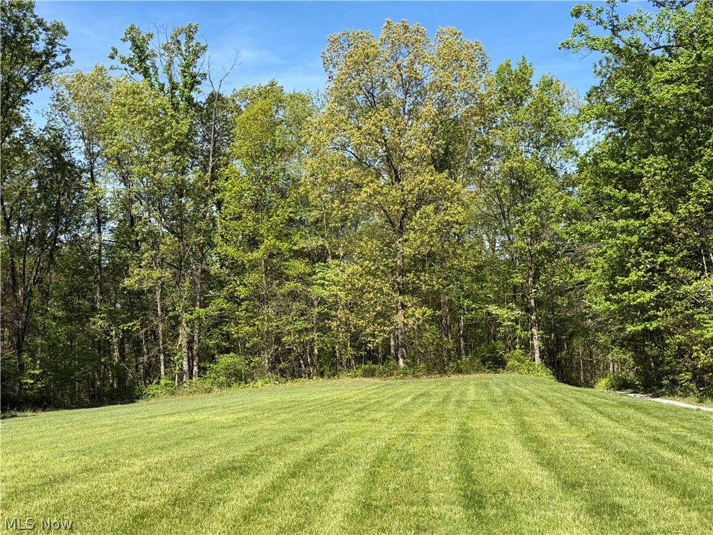 183 Varner Road Walker, WV 26180 - Photo 6 of 29