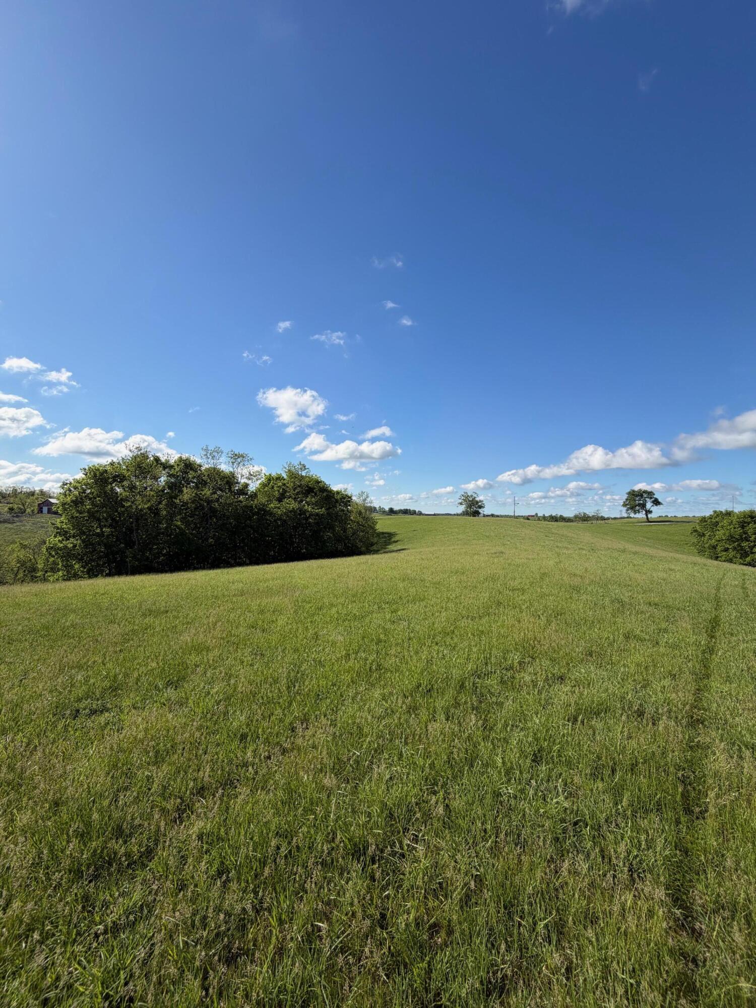 32.28-ac Chipman Ridge Road Williamstown, KY 41097 - Photo 8 of 13