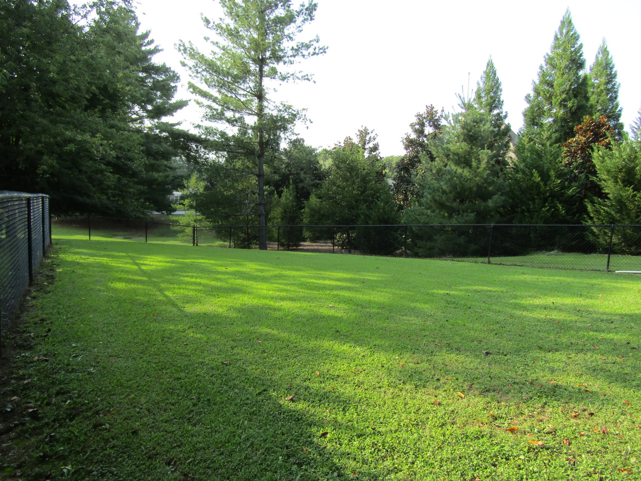 320 Post Road McMinnville, TN 37110 - Photo 3 of 33