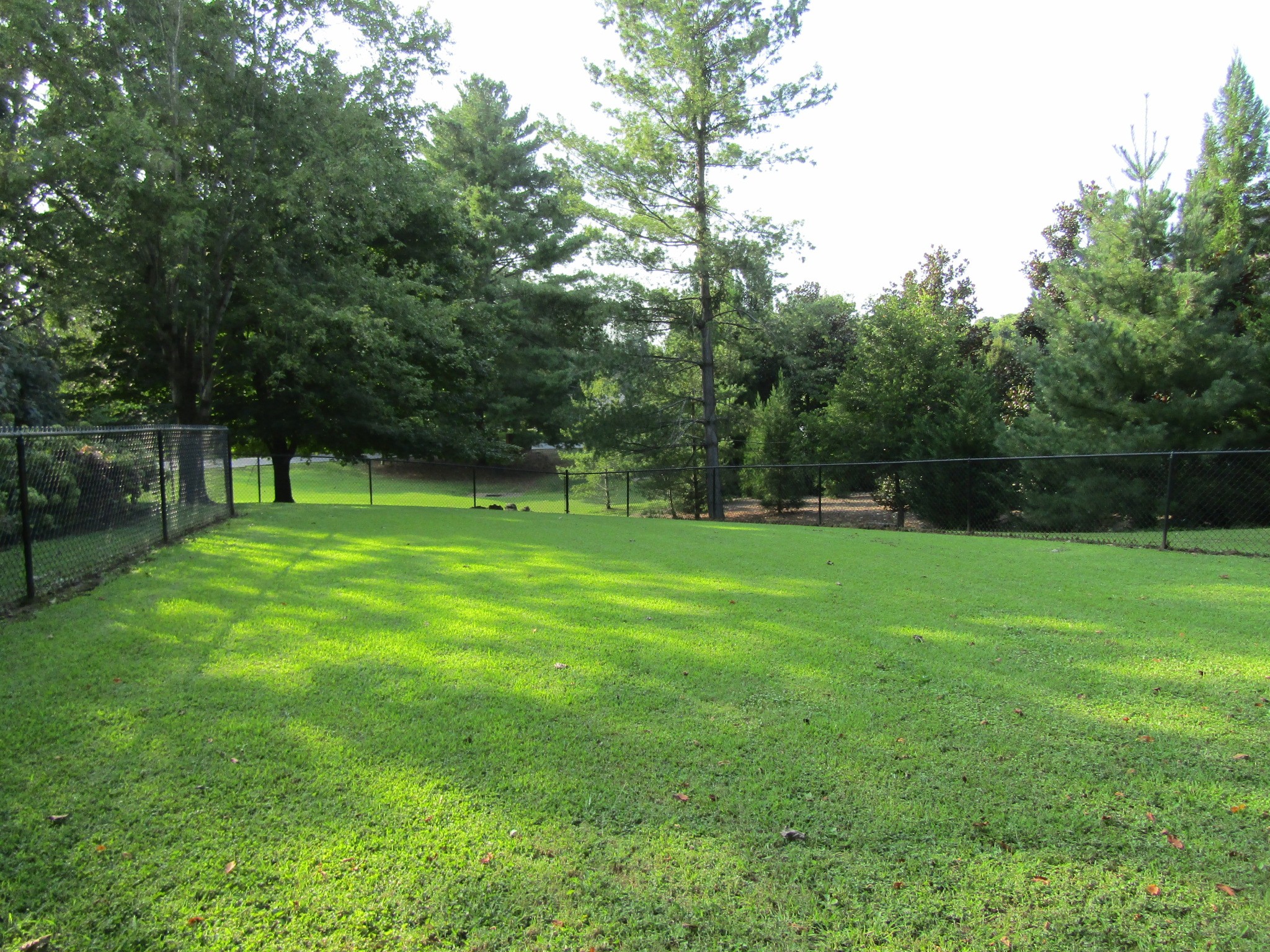 320 Post Road McMinnville, TN 37110 - Photo 4 of 33