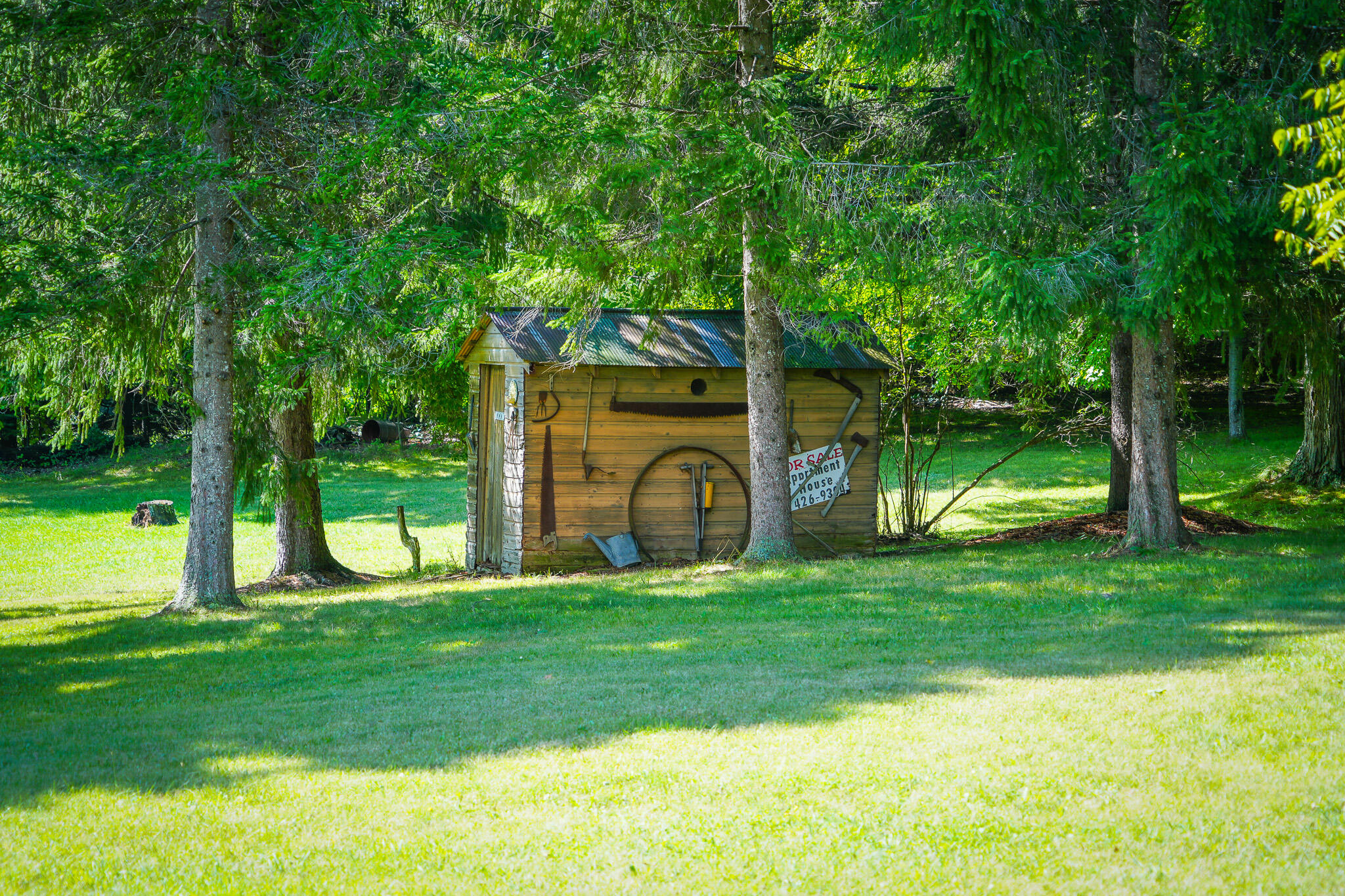 5260 North Hockaday Road Gladwin, MI 48624 - Photo 57 of 81 DSC01499