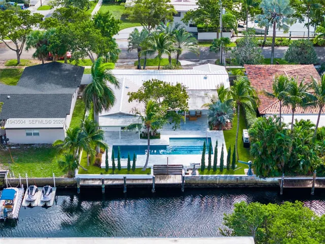 an outdoor space with lots of palm trees