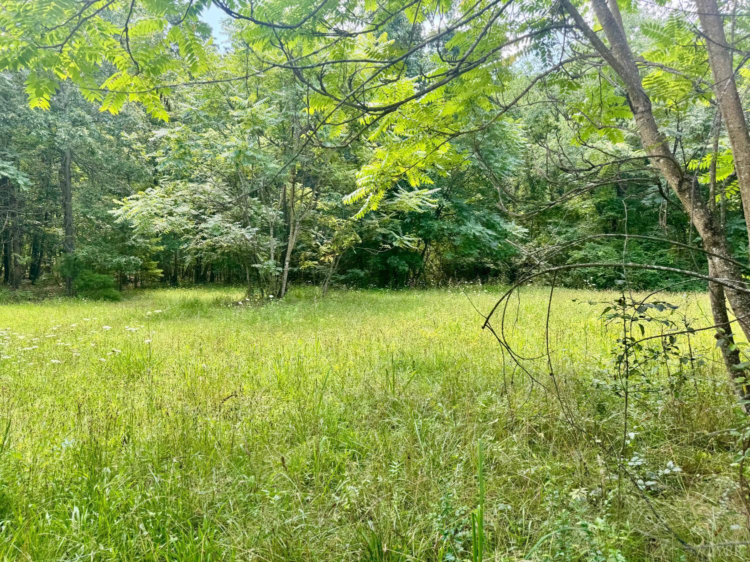 266 Tabor Road Gladys, VA 24554 - Photo 9 of 10 Gallery Image 9