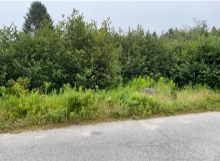 341 Mooseneck Road Addison, ME 04606 - Photo 10 of 12 land across from waterfront lot
