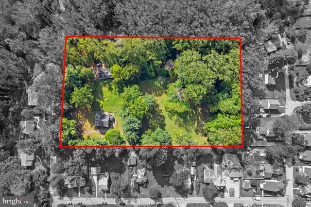 a picture of flowers