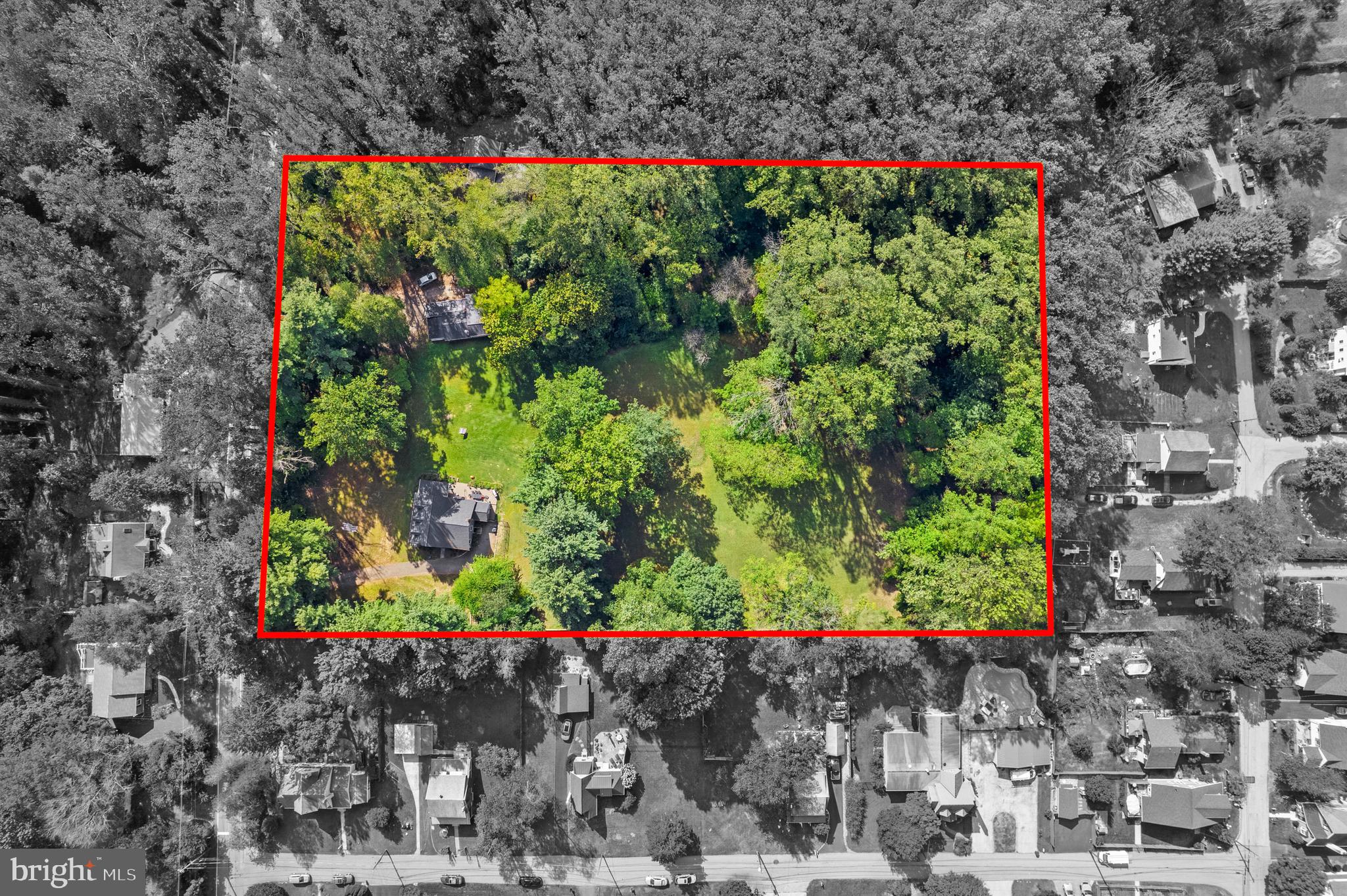 a picture of flowers