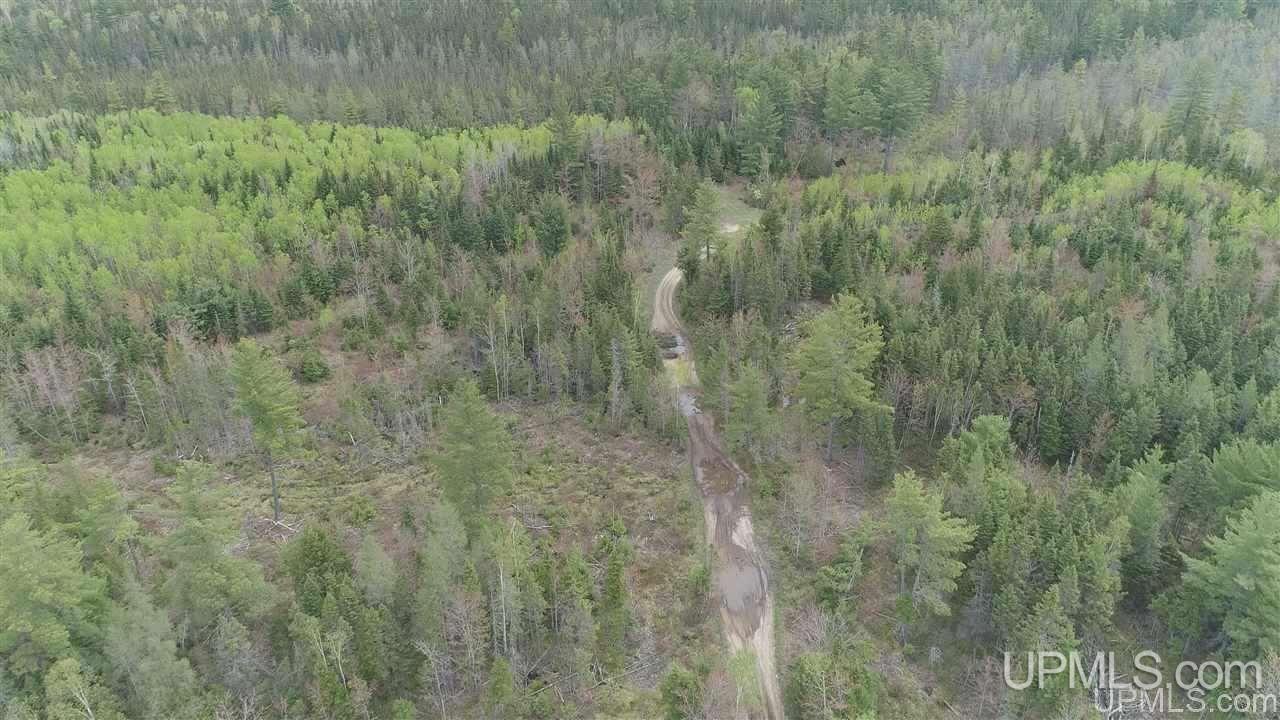 80-acres Camp 6 Road Newberry, MI 49853 - Photo 1 of 6