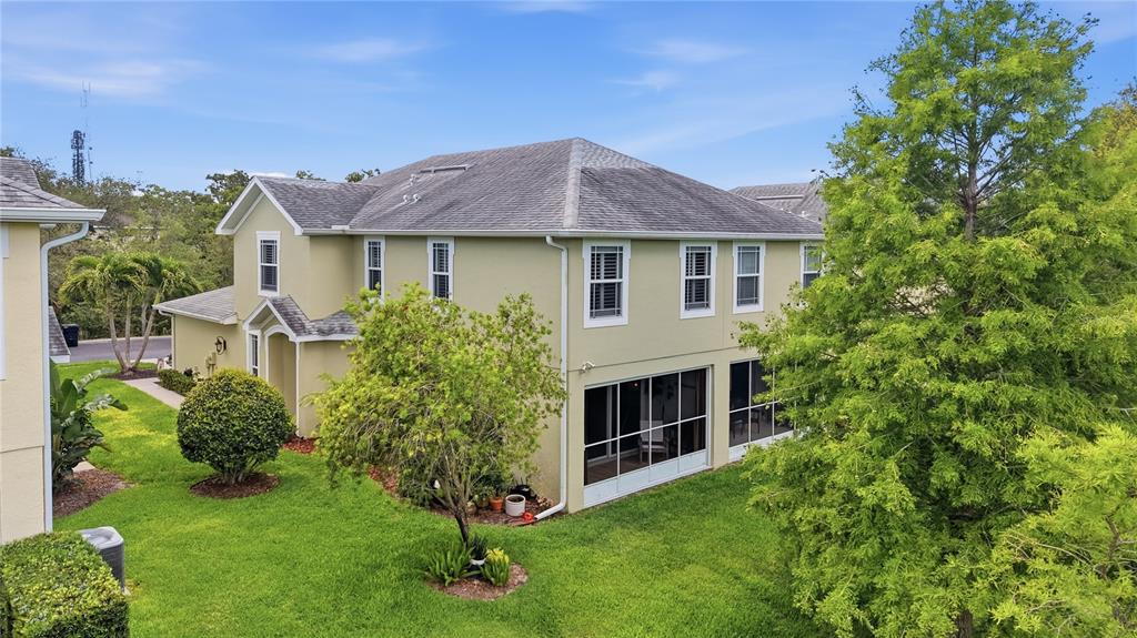 497 Harbor Ridge Drive Palm Harbor, FL 34683 - Photo 39 of 52