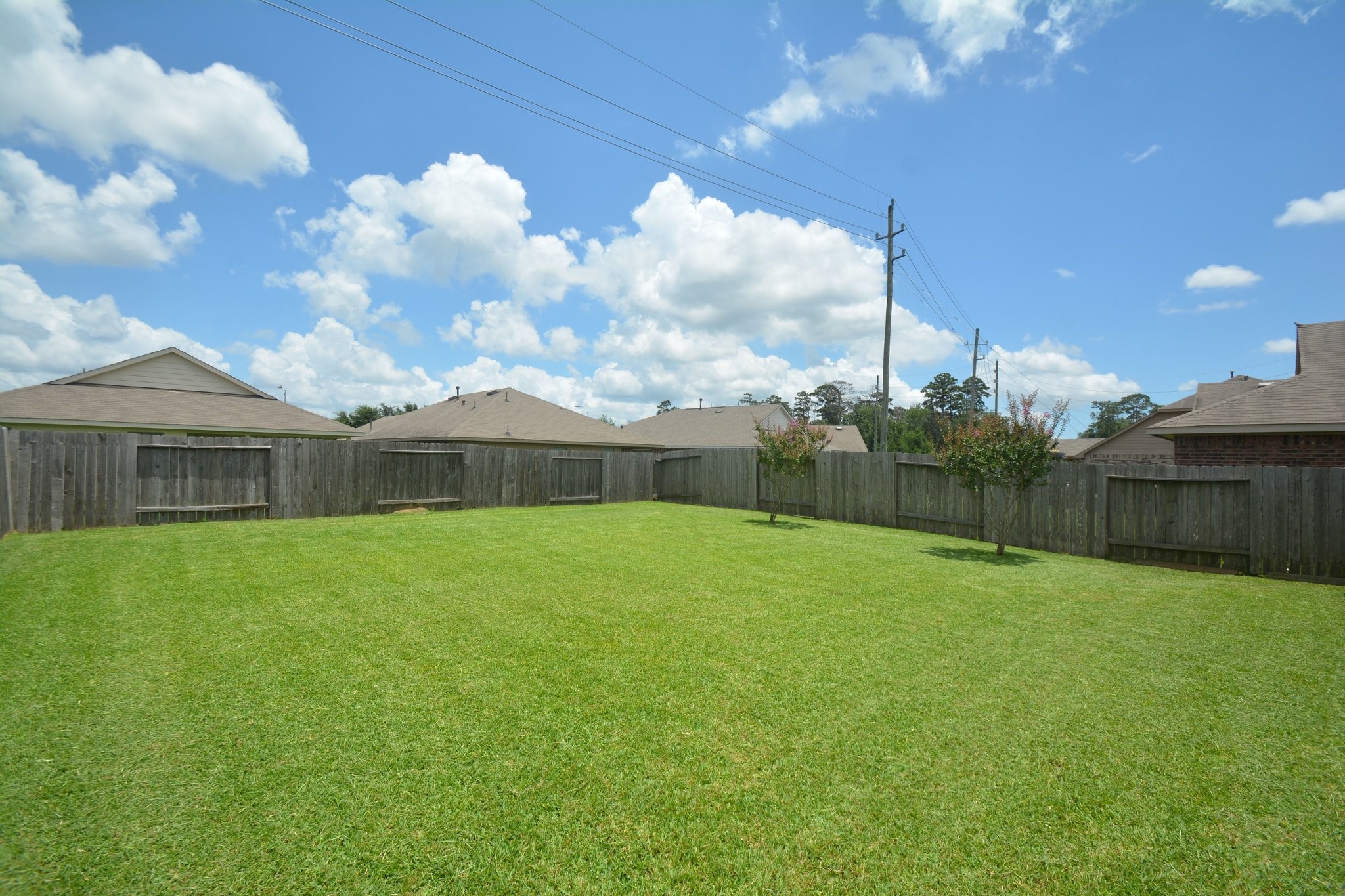 23318 Dukes Run Drive Spring, TX 77373 - Photo 37 of 41 Spacious fenced backyard with well-maintained lawn, perfect for outdoor activities and privacy.
