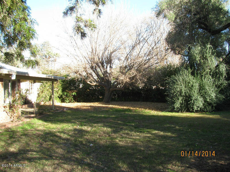 1407 West Ruth Avenue Phoenix, AZ 85021 - Photo 54 of 64 IMG_1332