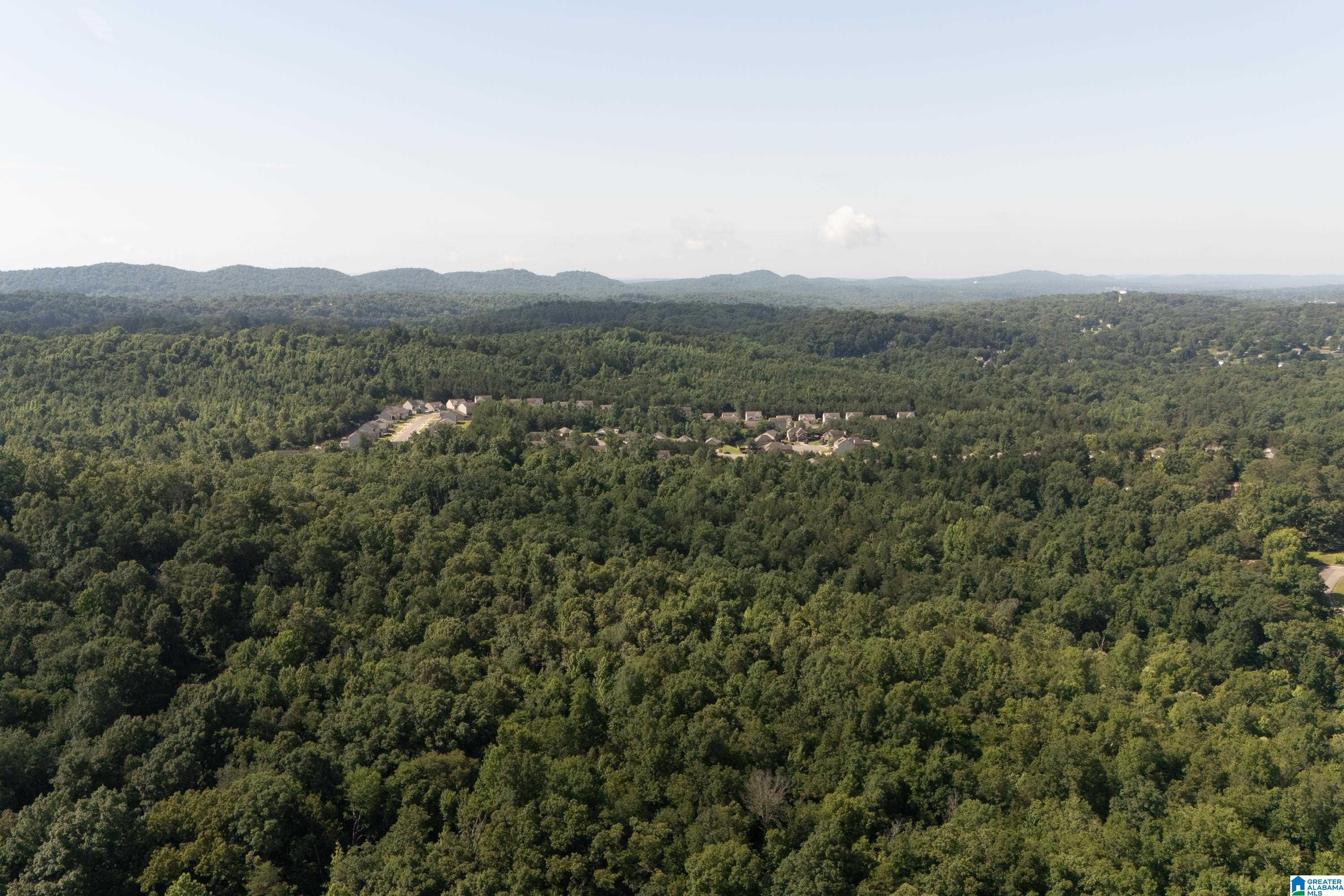 4861 Grist Mill Road, Unit 1 Pinson, AL 35126 - Photo 5 of 12