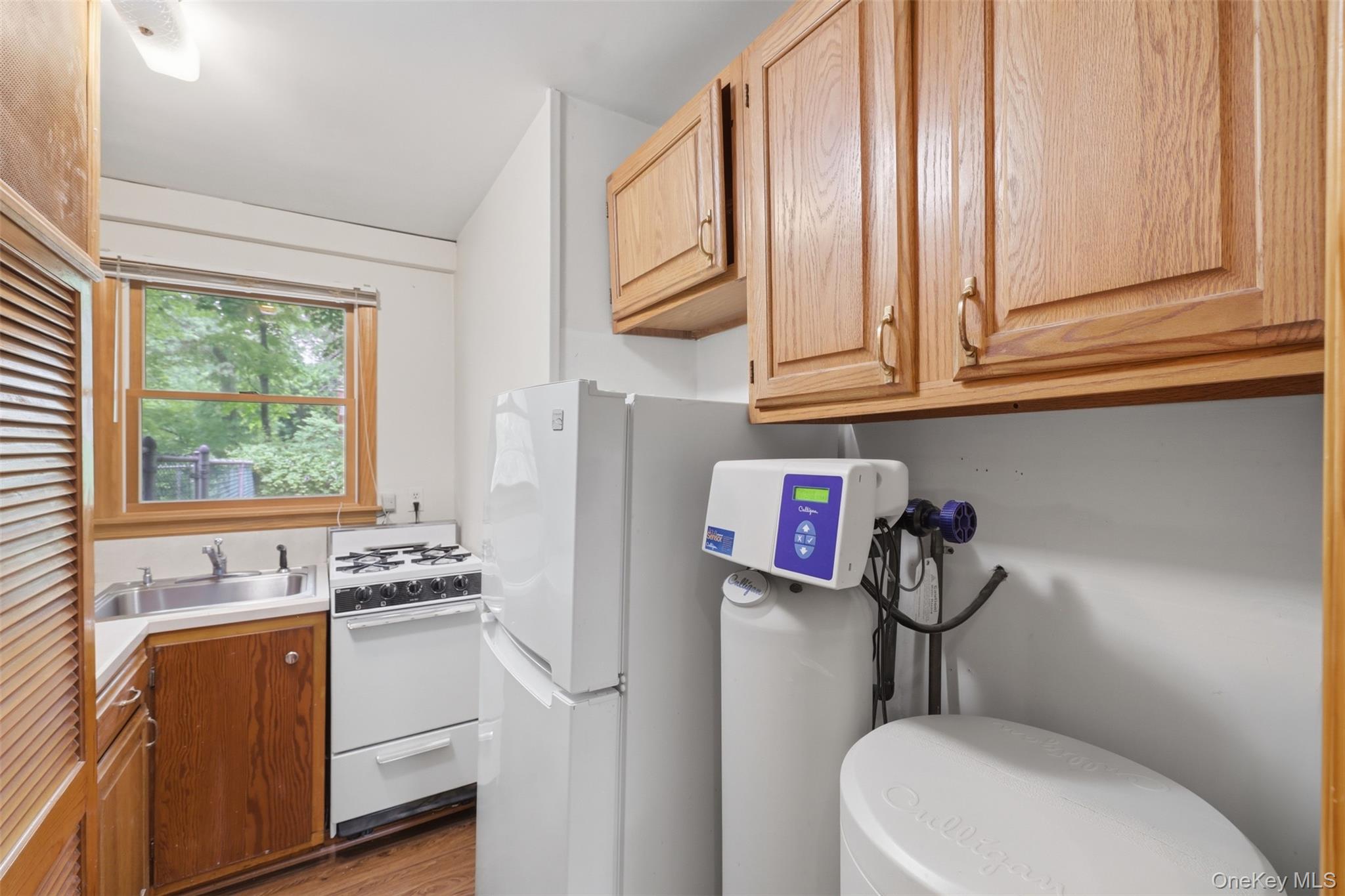 226 Ehrhardt Road Pearl River, NY 10965 - Photo 29 of 43