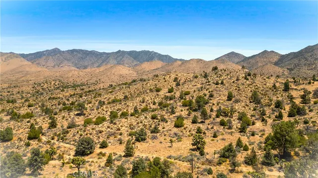$149,000 | 0 Pine Hollow Road, Onyx, CA 93255