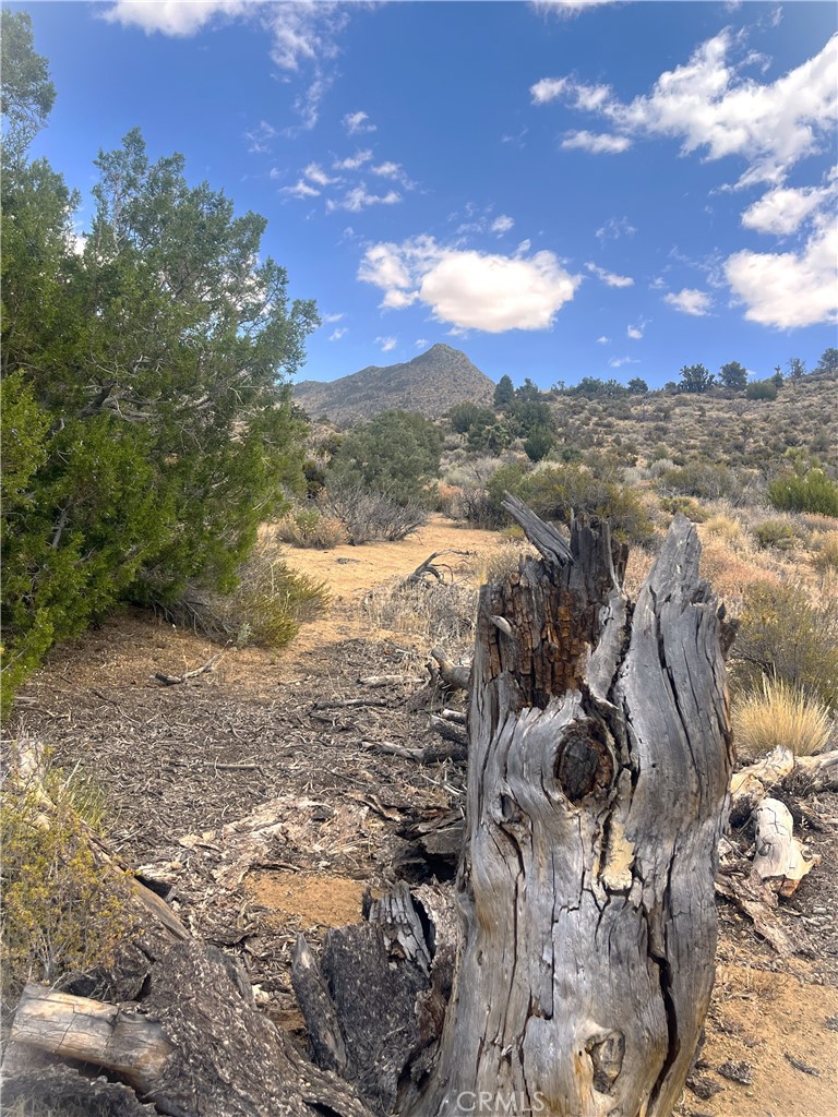 0 Pine Hollow Road Onyx, CA 93255 - Photo 5 of 11 Northwestern view on Parcel