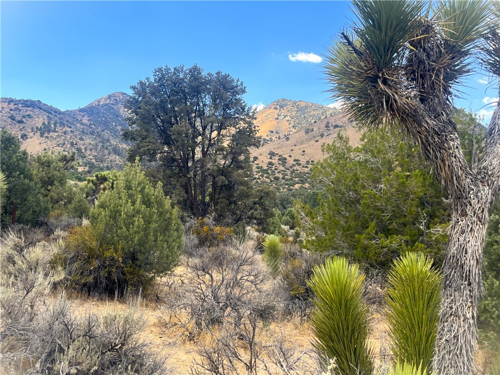 0 Pine Hollow Road Onyx, CA 93255 - Photo 9 of 11 Southernly Mountain View on Parcel