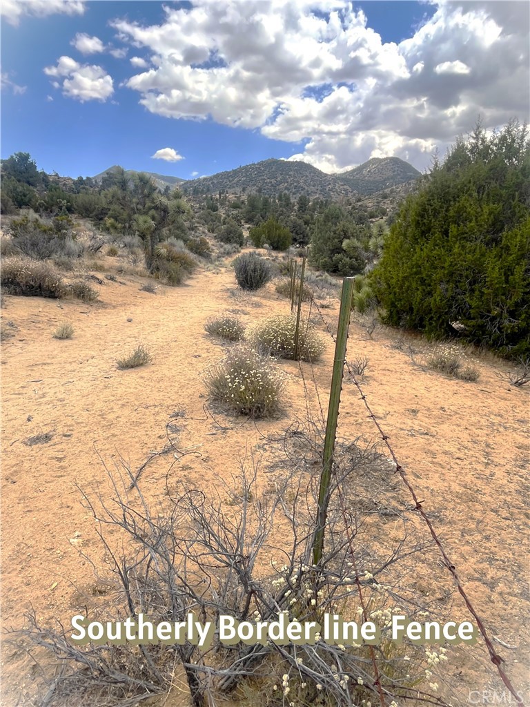 0 Pine Hollow Road Onyx, CA 93255 - Photo 10 of 11 Southern Fenceline Boundry