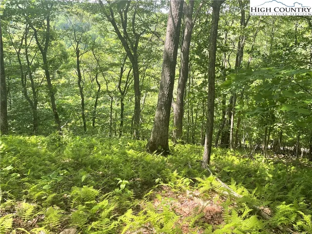 $49,900 | Lot 66 Bob Timberlake Drive, Boone, NC 28607
