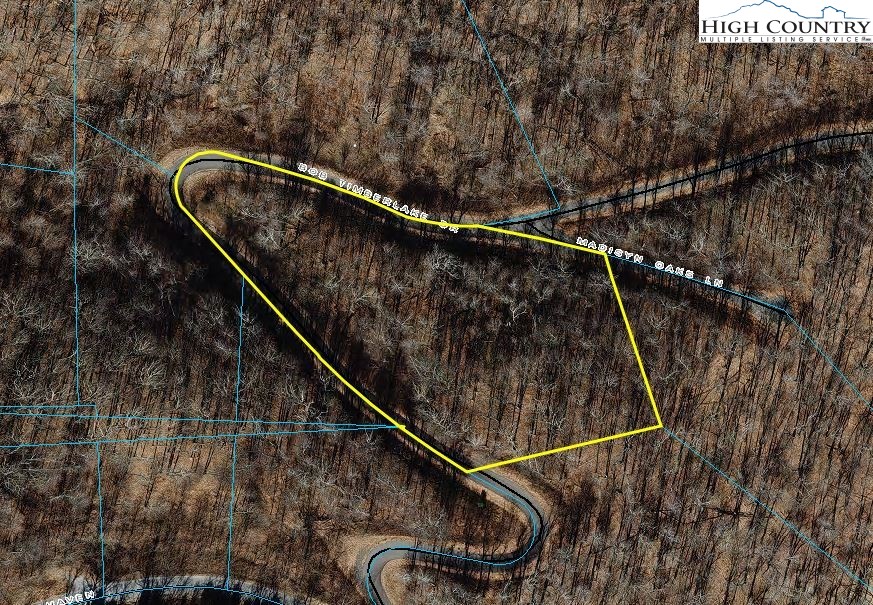 Lot 66 Bob Timberlake Drive Boone, NC 28607 - Photo 11 of 21