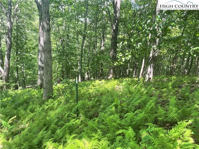 $49,900 | Lot 66 Bob Timberlake Drive, Boone, NC 28607