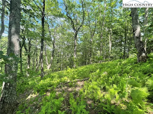 $49,900 | Lot 66 Bob Timberlake Drive, Boone, NC 28607
