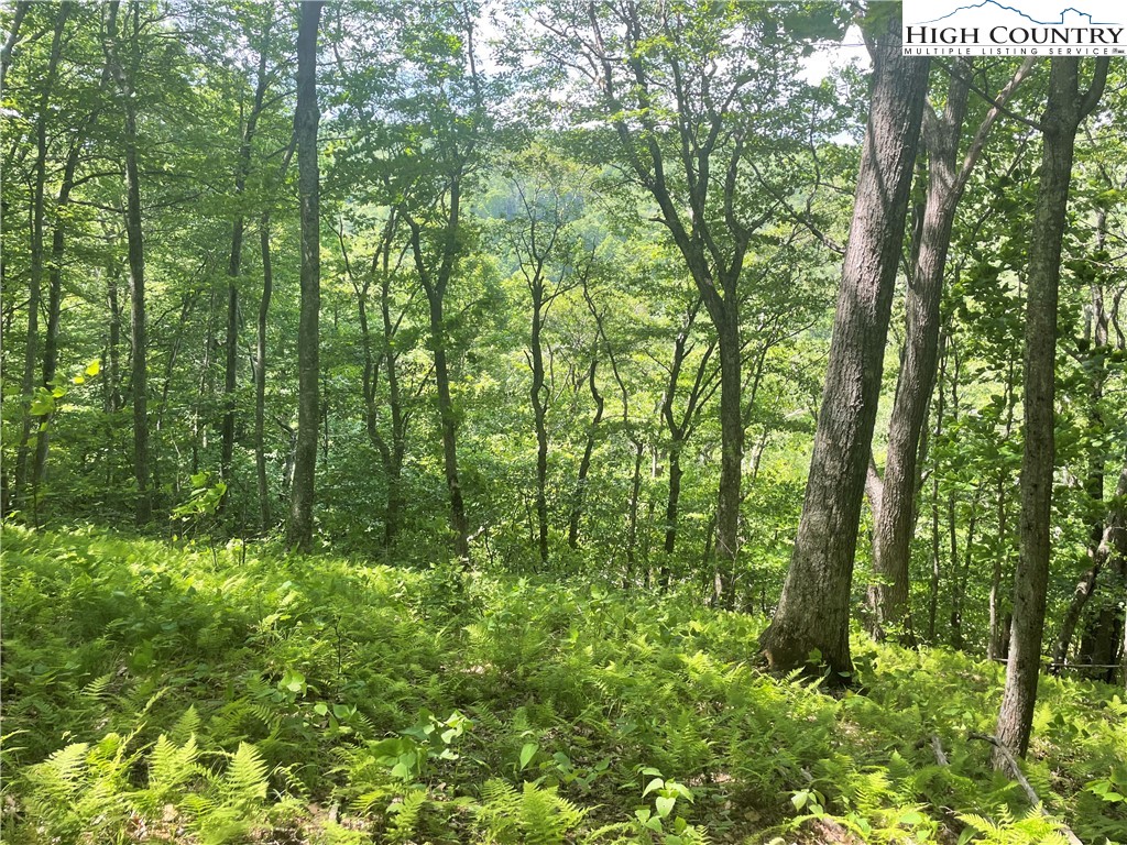 Lot 66 Bob Timberlake Drive Boone, NC 28607 - Photo 5 of 21