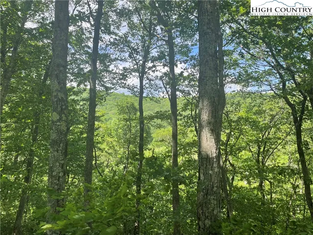 $49,900 | Lot 66 Bob Timberlake Drive, Boone, NC 28607