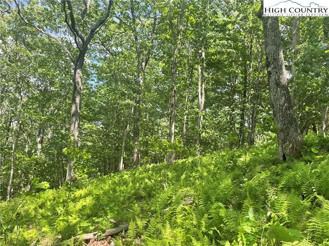 $49,900 | Lot 66 Bob Timberlake Drive, Boone, NC 28607