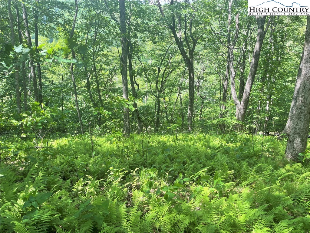 Lot 66 Bob Timberlake Drive Boone, NC 28607 - Photo 8 of 21