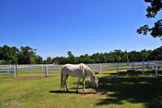 307 Dapper Dan Drive Sneads Ferry, NC 28460 - Photo 27 of 35 EscobaBayHorse_LR