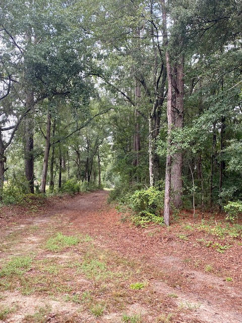 Tbd Redds Branch Road Aiken, SC 29801 - Photo 4 of 23